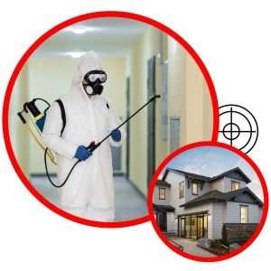 termite control Charlotte