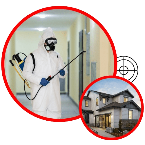 Residential pest control