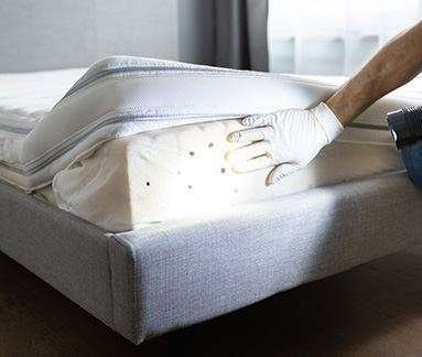 Bed Bug Control