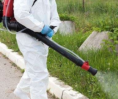 Commercial Pest Control