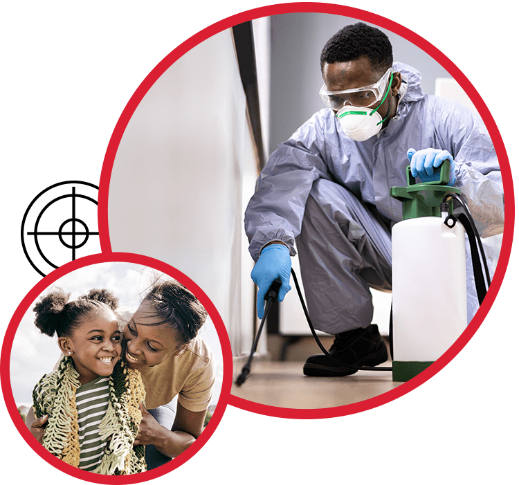 Professional pest control technician inspecting attic for signs of infestation