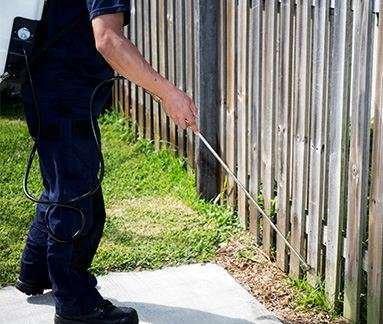 Residential Pest Exterminator 