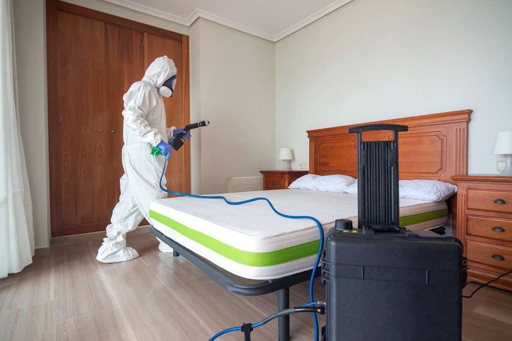 Bed Bug Control